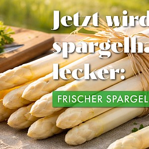 000 slider spargel 2026 1920x700px